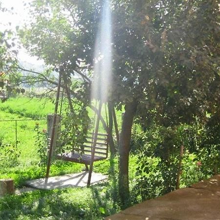 Lary Hostel سوتْشافا المظهر الخارجي الصورة