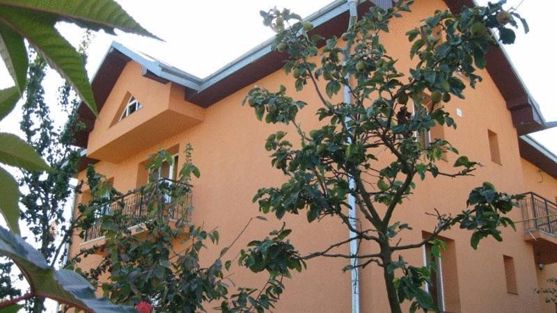 Lary Hostel سوتْشافا المظهر الخارجي الصورة