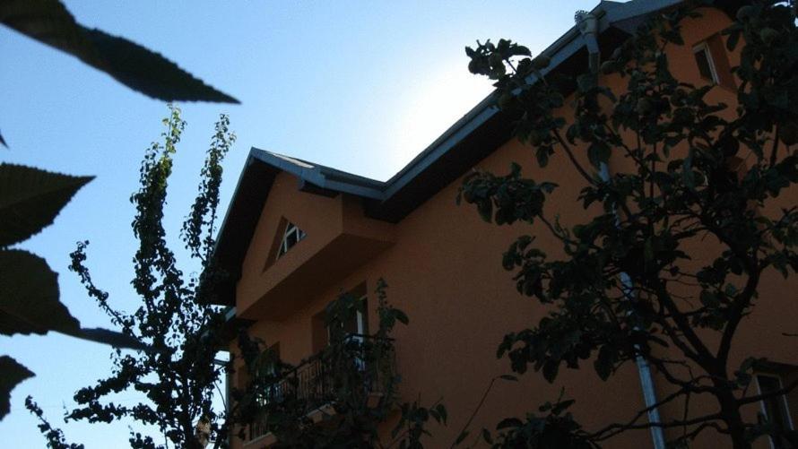 Lary Hostel سوتْشافا المظهر الخارجي الصورة