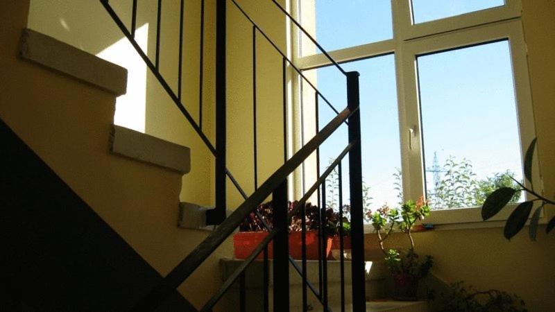 Lary Hostel سوتْشافا المظهر الخارجي الصورة