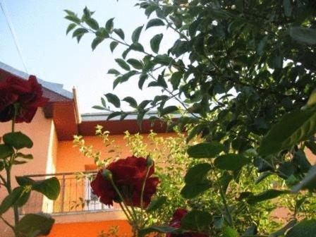Lary Hostel سوتْشافا المظهر الخارجي الصورة