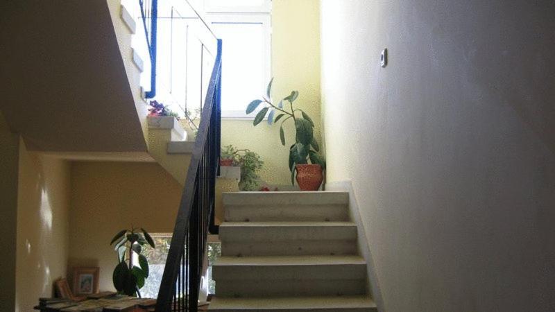 Lary Hostel سوتْشافا المظهر الخارجي الصورة