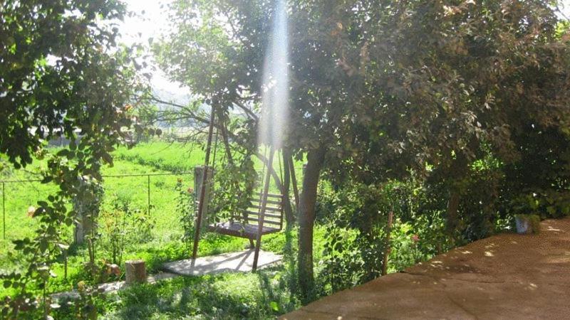 Lary Hostel سوتْشافا المظهر الخارجي الصورة