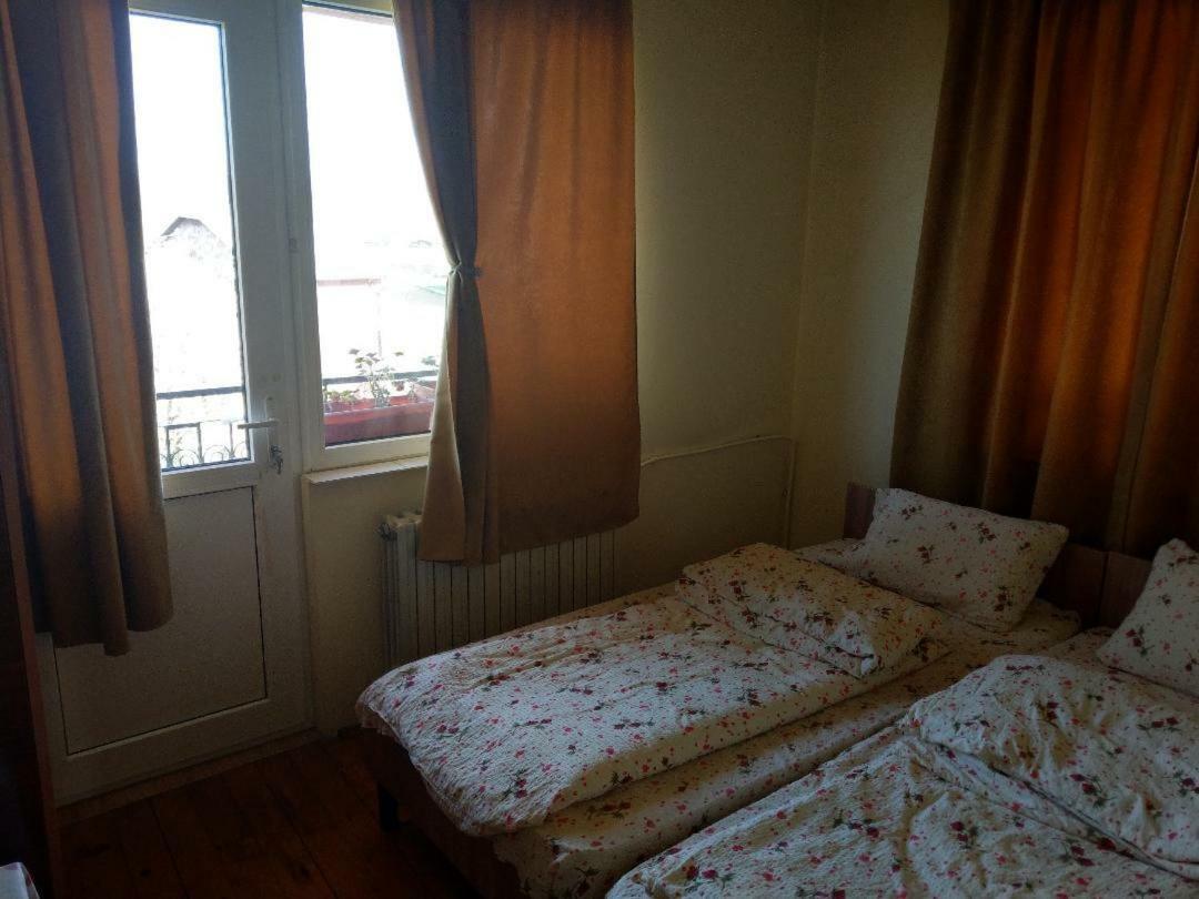 Lary Hostel سوتْشافا المظهر الخارجي الصورة