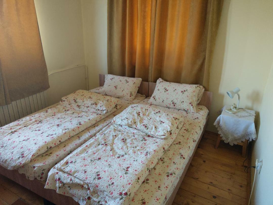Lary Hostel سوتْشافا المظهر الخارجي الصورة
