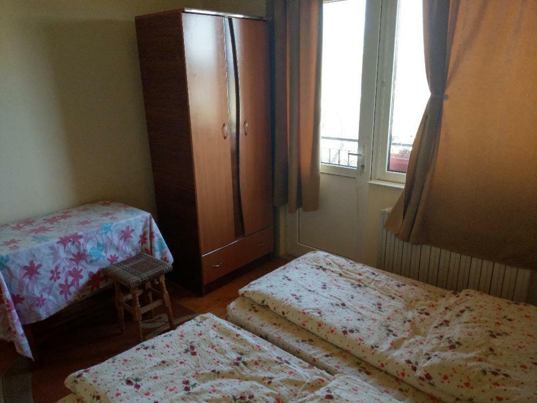Lary Hostel سوتْشافا المظهر الخارجي الصورة
